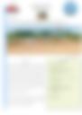 Bulletins Veille Climatique 2024 01 01 00 00 00
