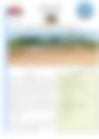 Bulletins Veille Climatique 2024 02 01 00 00 00