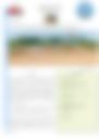 Bulletins Veille Climatique 2024 04 01 00 00 00