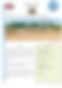 Bulletins Veille Climatique 2024 06 01 00 00 00