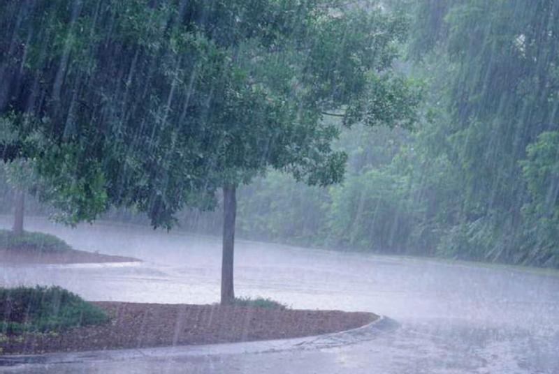 Hauteur de Pluie