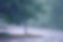 Hauteur de Pluie